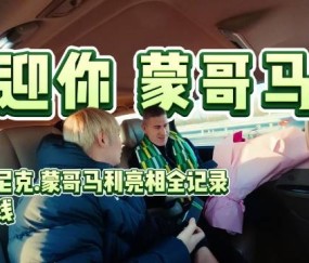 kaiyun-主教练尼克·蒙哥马利亮相全记录近期上线